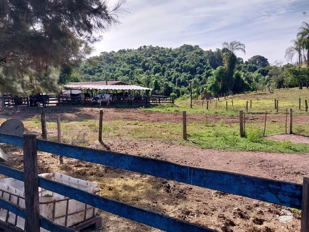 Fazenda, 259 hectares - Foto 13