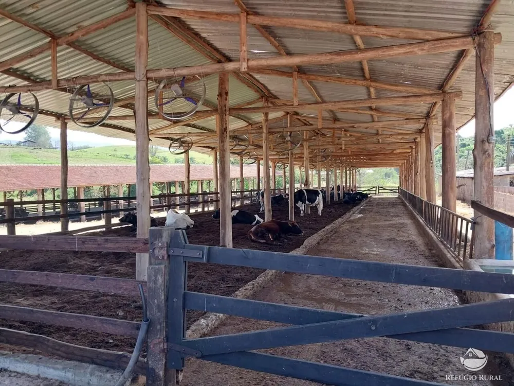 Fazenda, 259 hectares - Foto 14