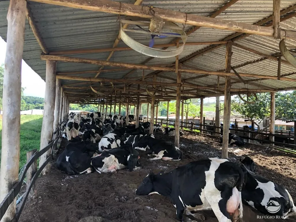 Fazenda, 259 hectares - Foto 15