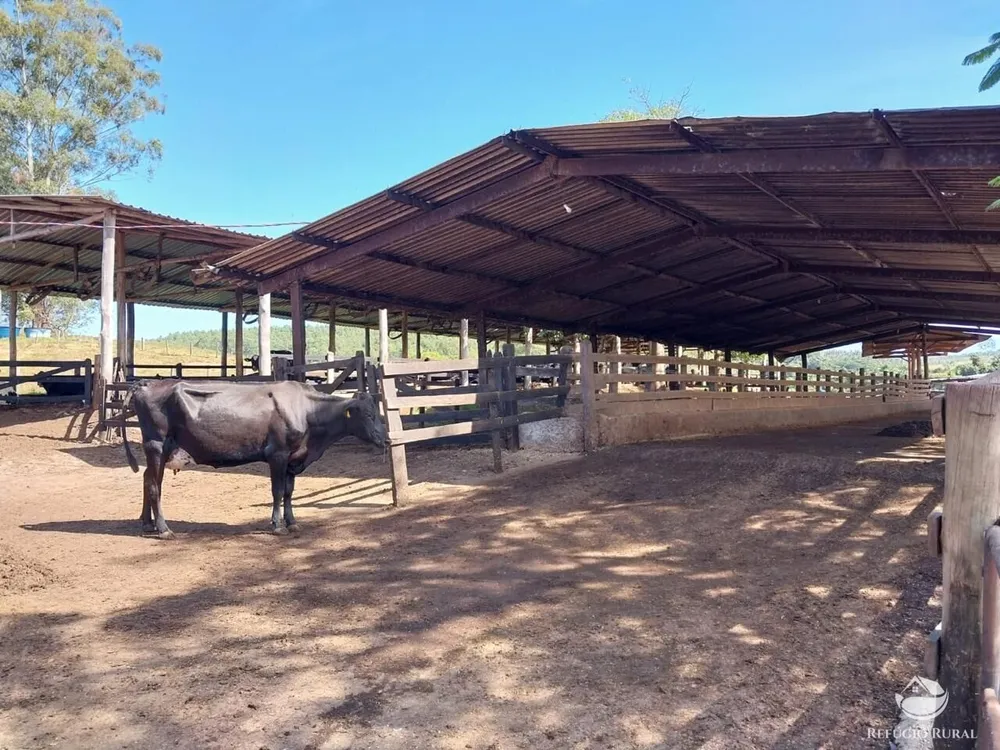 Fazenda, 259 hectares - Foto 12
