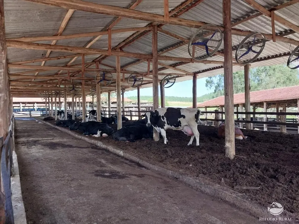Fazenda, 259 hectares - Foto 19