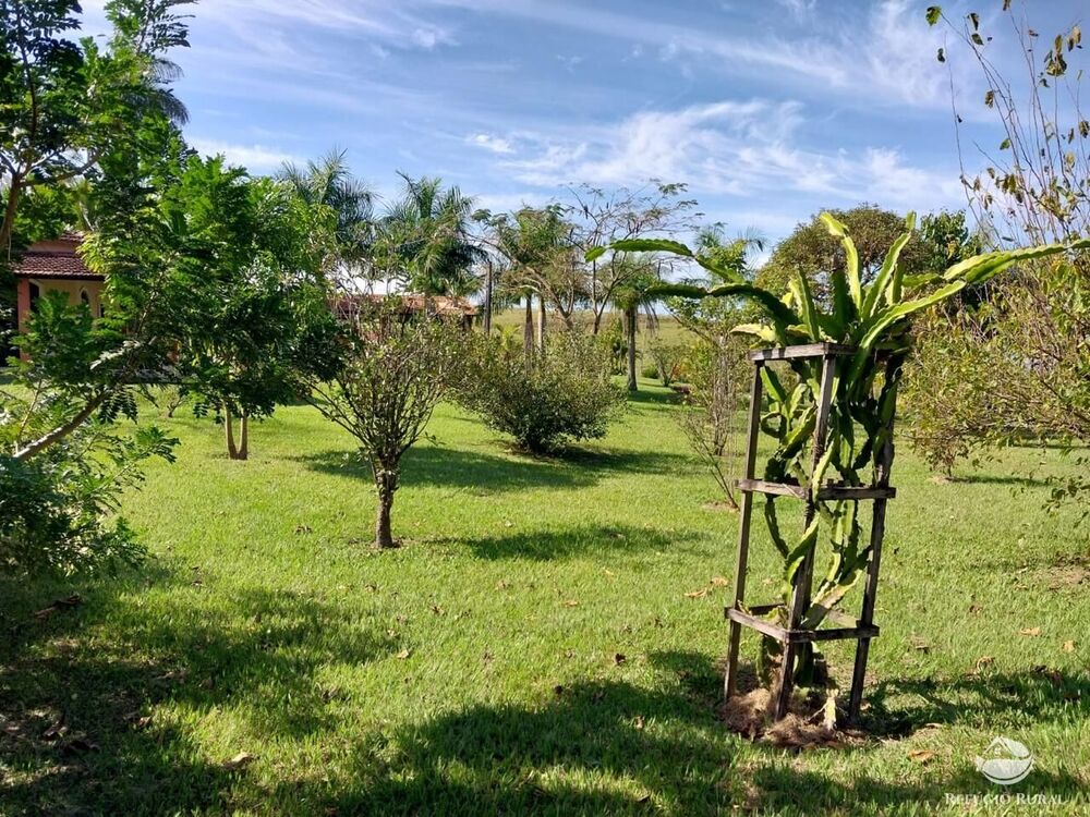 Fazenda, 259 hectares - Foto 7