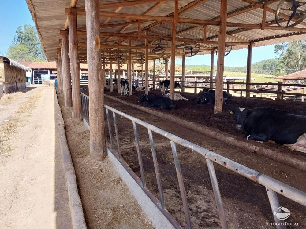 Fazenda, 259 hectares - Foto 4