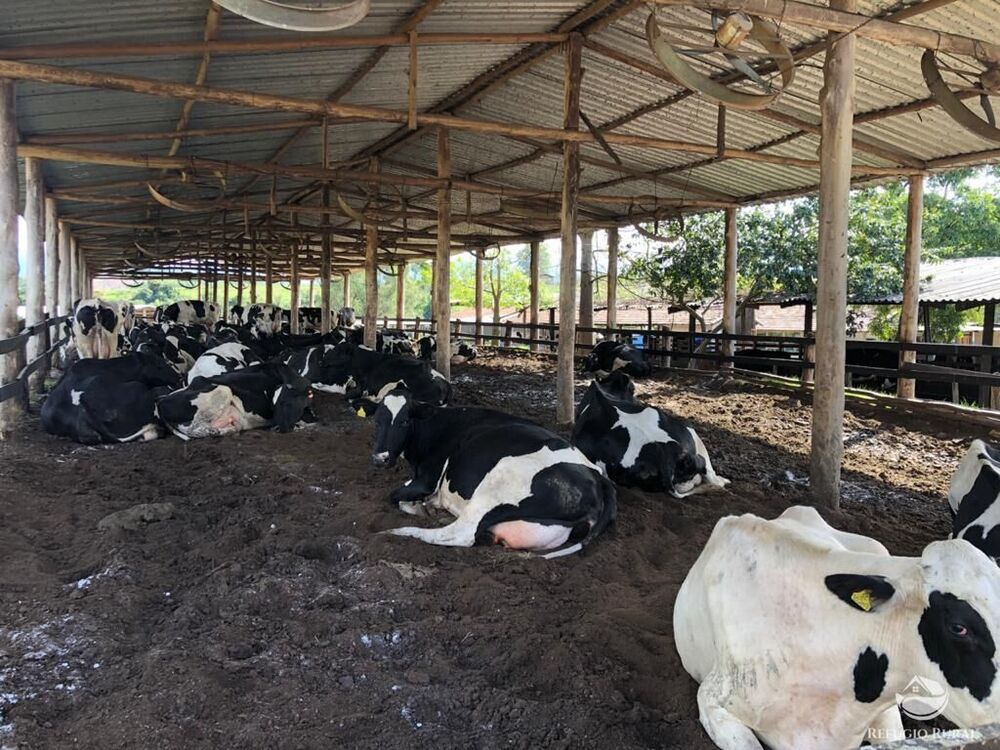 Fazenda, 259 hectares - Foto 2