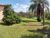 Fazenda-Sítio-Chácara, 259 hectares - Foto 3