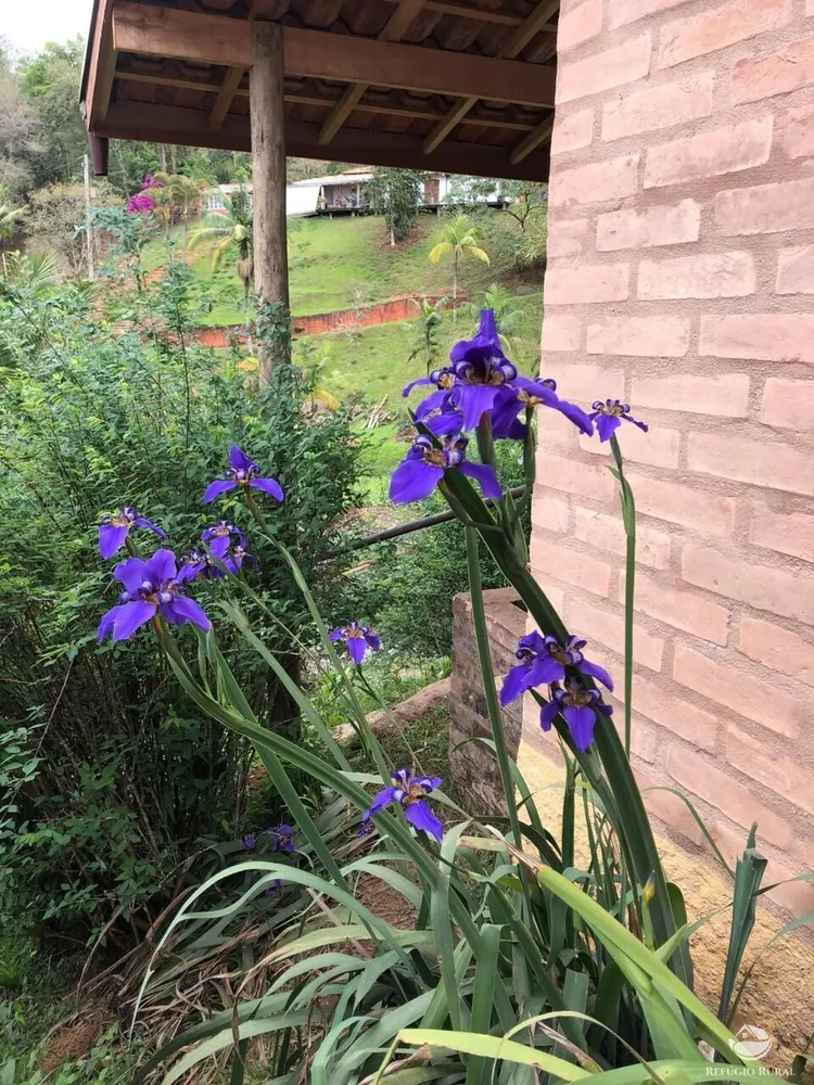Sítio, 7 quartos, 3 hectares - Foto 12
