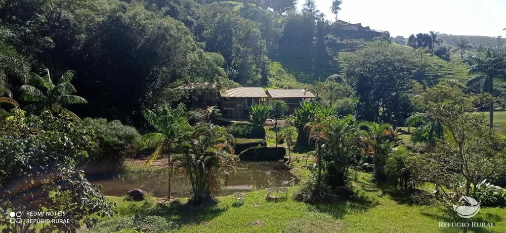 Sítio, 7 quartos, 3 hectares - Foto 11