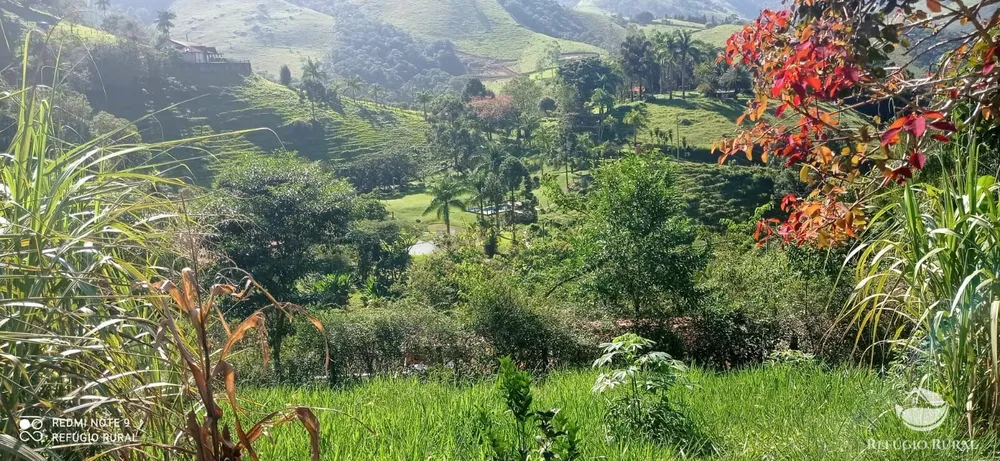 Sítio, 7 quartos, 3 hectares - Foto 14