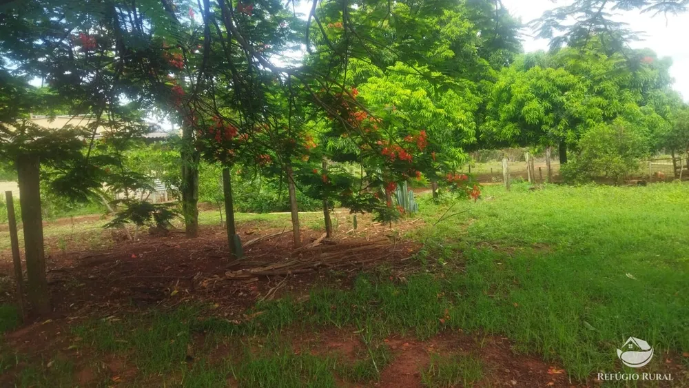 Sítio, 29 hectares - Foto 1