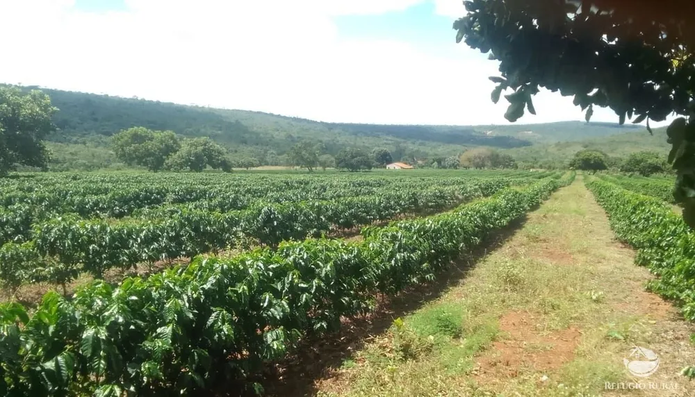 Fazenda, 1454 hectares - Foto 3
