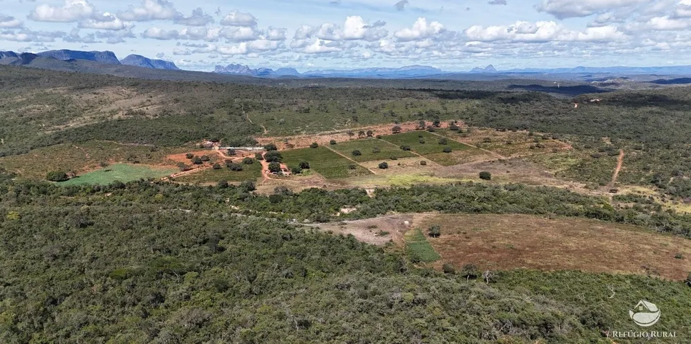 Fazenda, 1454 hectares - Foto 12