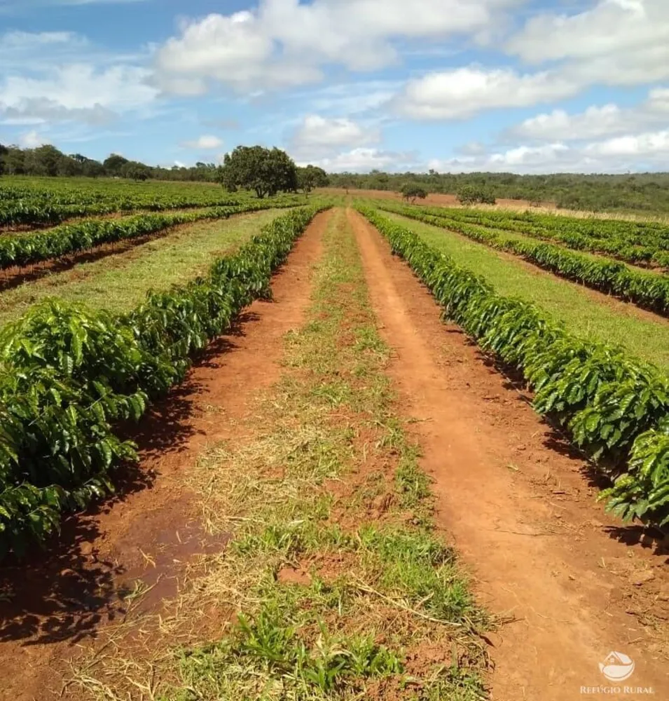Fazenda, 1454 hectares - Foto 2