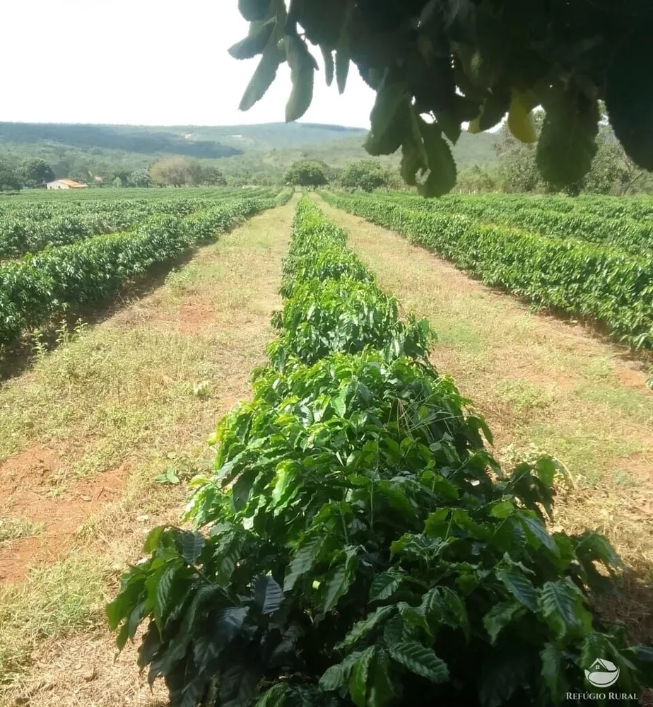 Fazenda, 1454 hectares - Foto 4