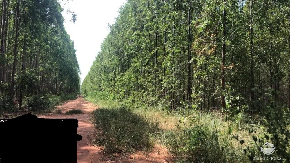 Fazenda, 8712 hectares - Foto 4