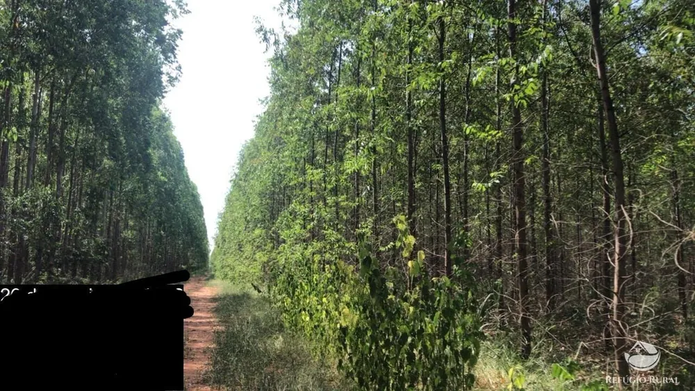 Fazenda, 8712 hectares - Foto 3