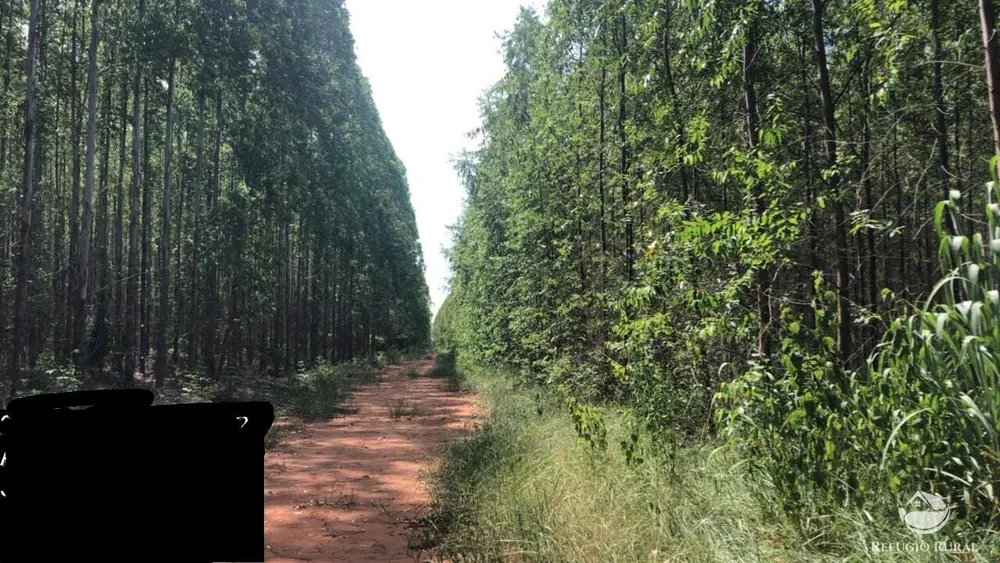 Fazenda, 8712 hectares - Foto 2