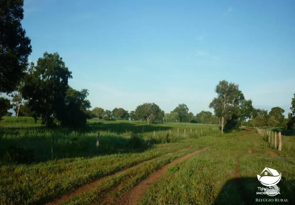 Fazenda, 516 hectares - Foto 2