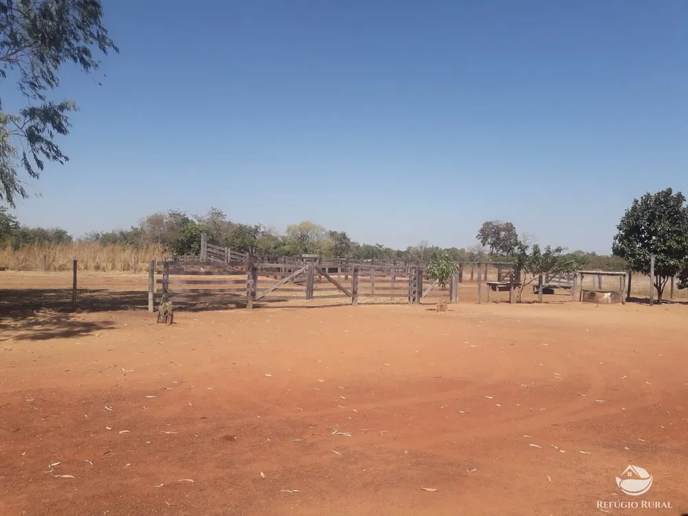 Fazenda, 516 hectares - Foto 1