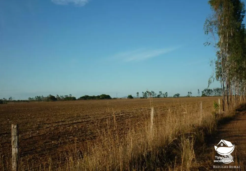 Fazenda, 516 hectares - Foto 11