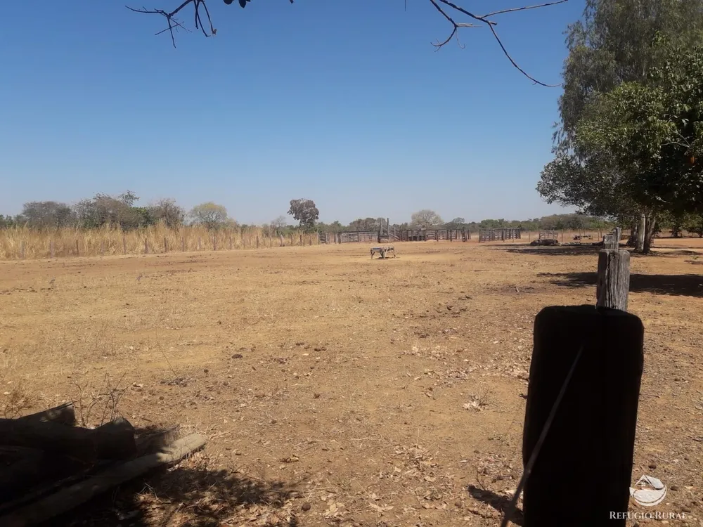 Fazenda, 516 hectares - Foto 12