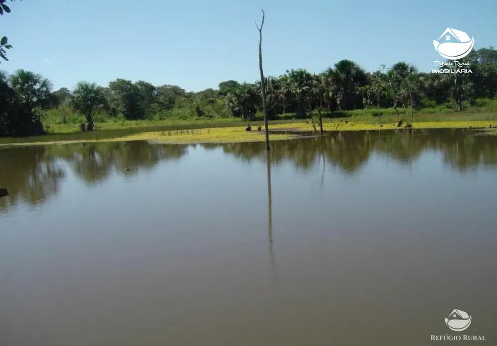 Fazenda, 516 hectares - Foto 3