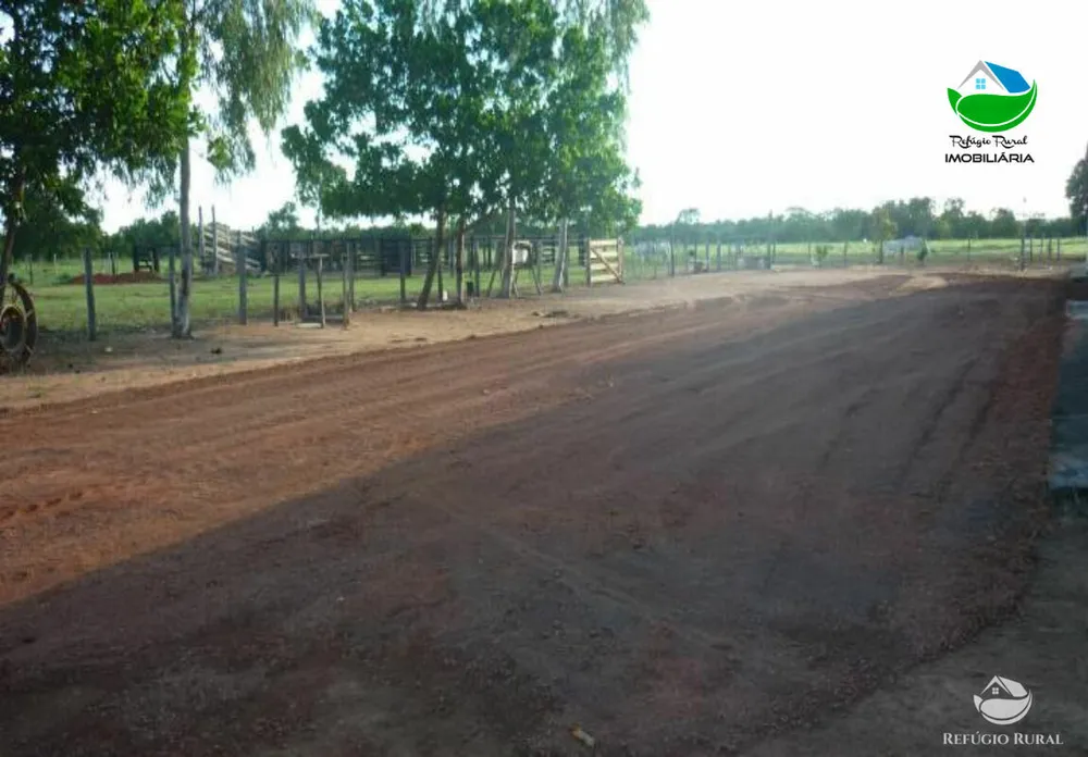 Fazenda, 516 hectares - Foto 5