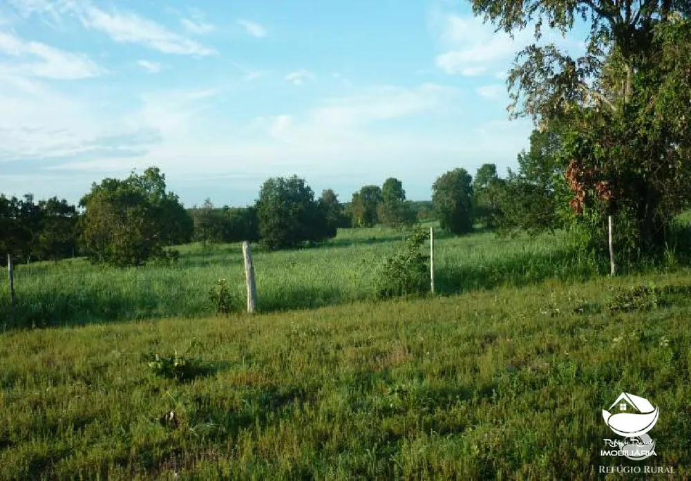 Fazenda, 516 hectares - Foto 8