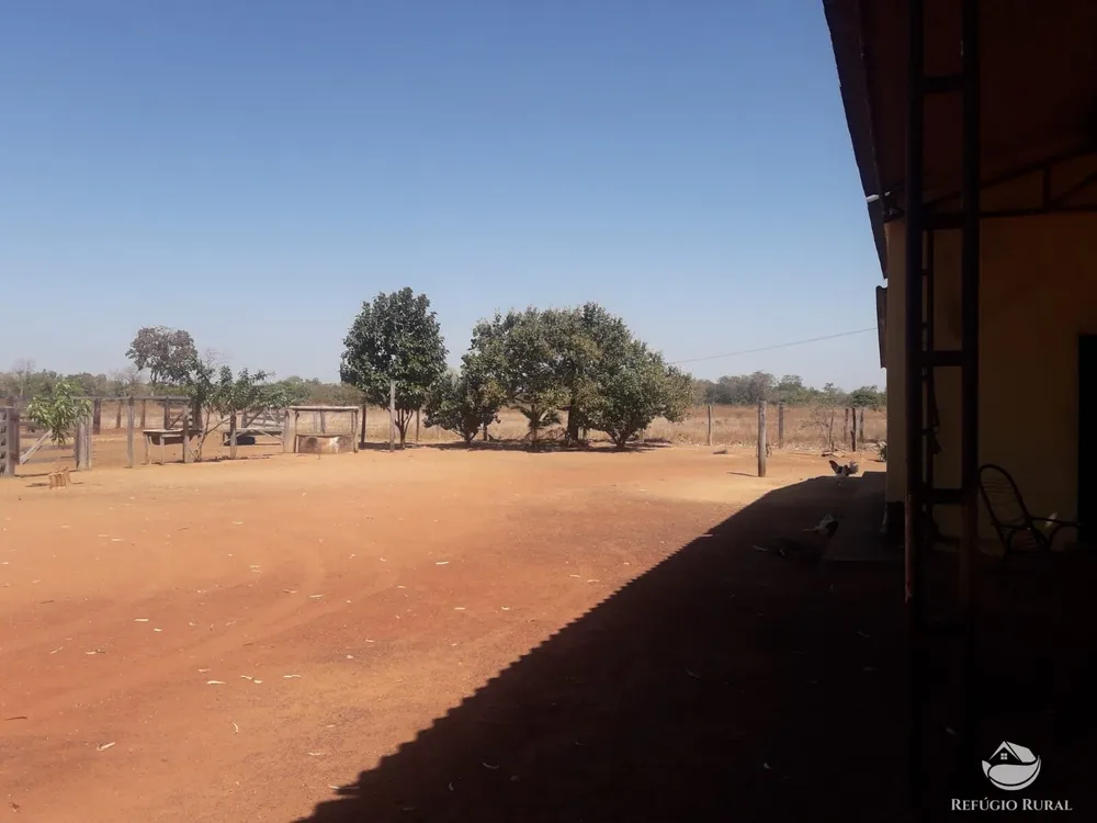Fazenda, 516 hectares - Foto 14