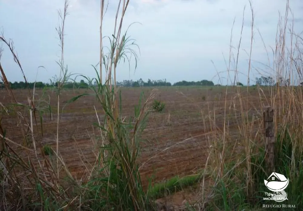 Fazenda, 516 hectares - Foto 7