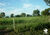 Fazenda, 516 hectares - Foto 2