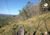 Terreno, 121 hectares - Foto 4