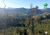 Terreno, 121 hectares - Foto 2