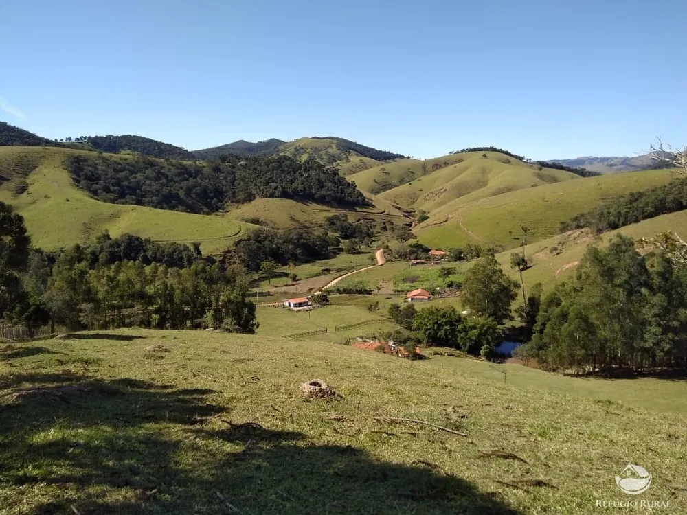 Sítio, 21 hectares - Foto 8