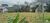 Terreno, 600 m² - Foto 4