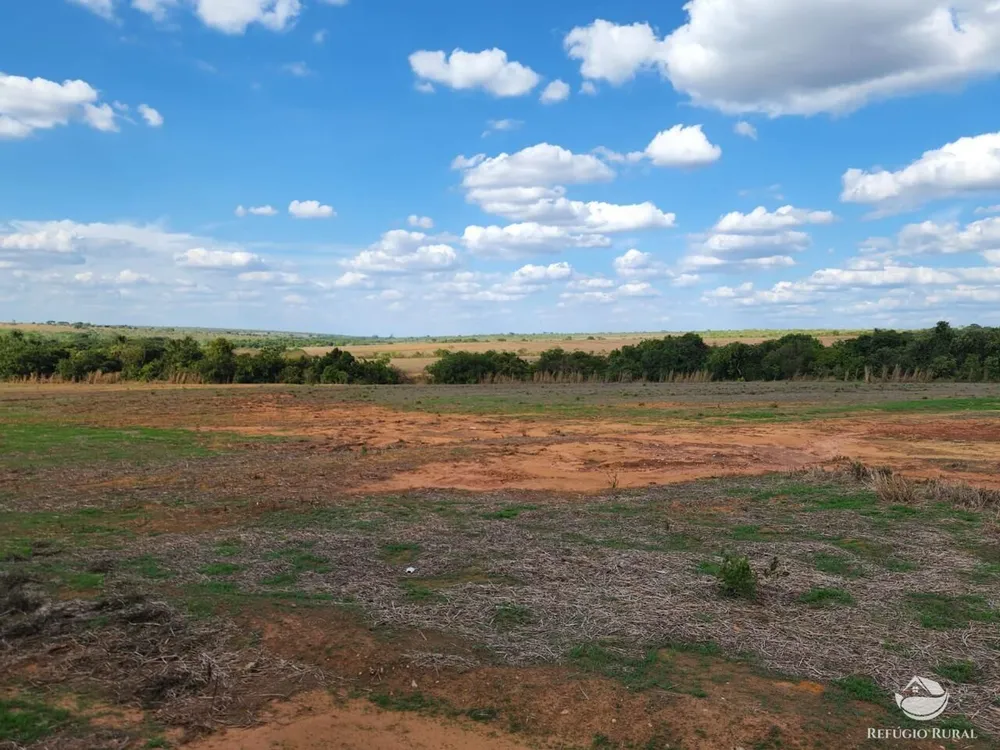 Fazenda, 3750 hectares - Foto 11