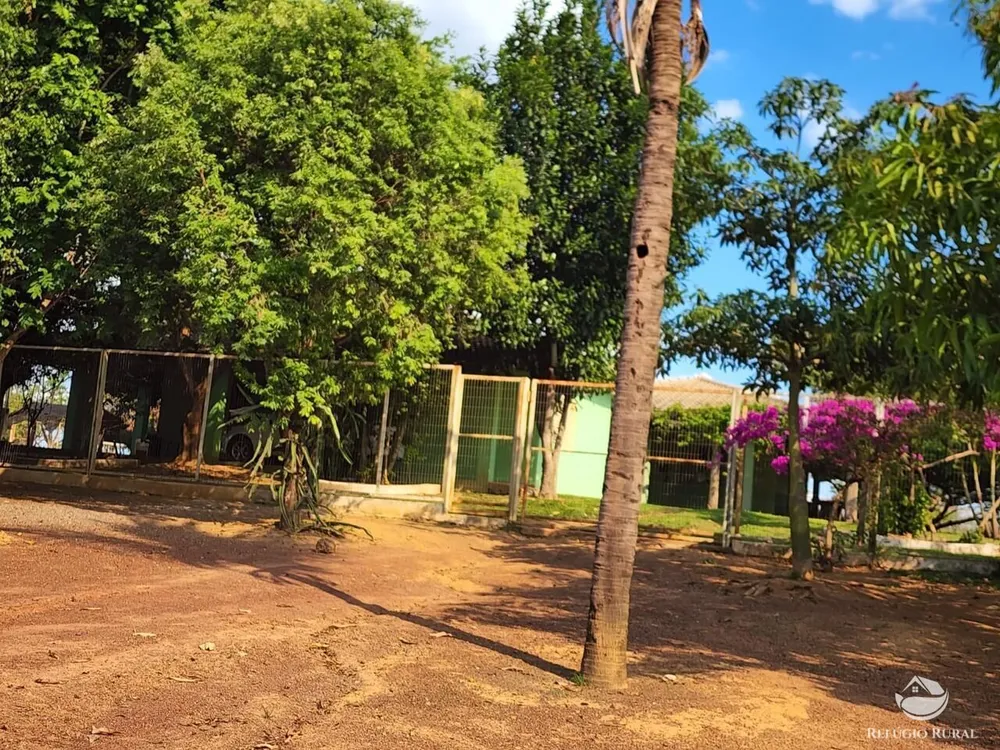 Fazenda, 3750 hectares - Foto 7