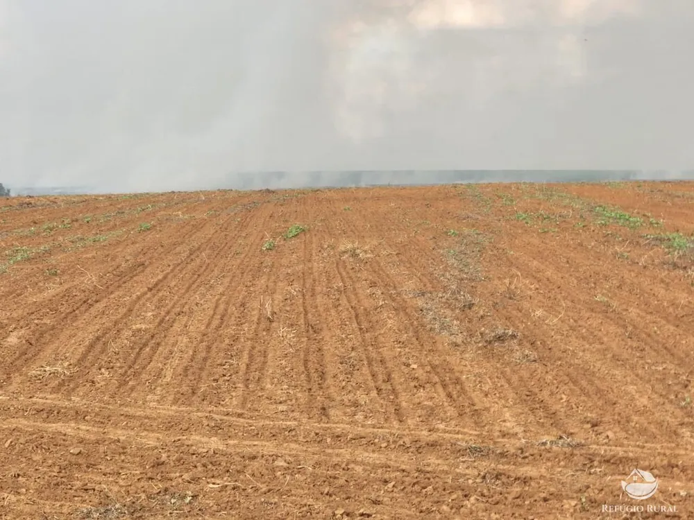 Fazenda, 3750 hectares - Foto 3