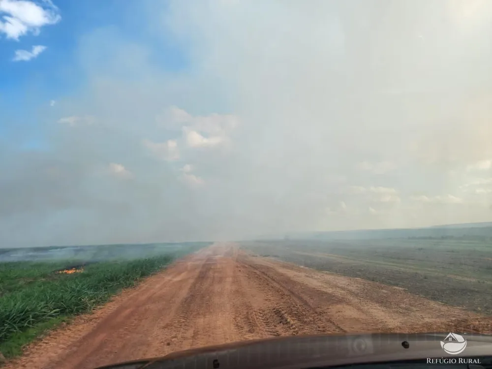 Fazenda, 3750 hectares - Foto 6