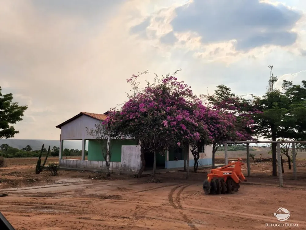 Fazenda, 3750 hectares - Foto 4