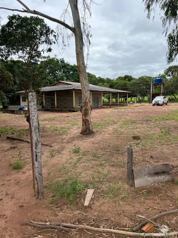 Fazenda, 3151 hectares - Foto 6