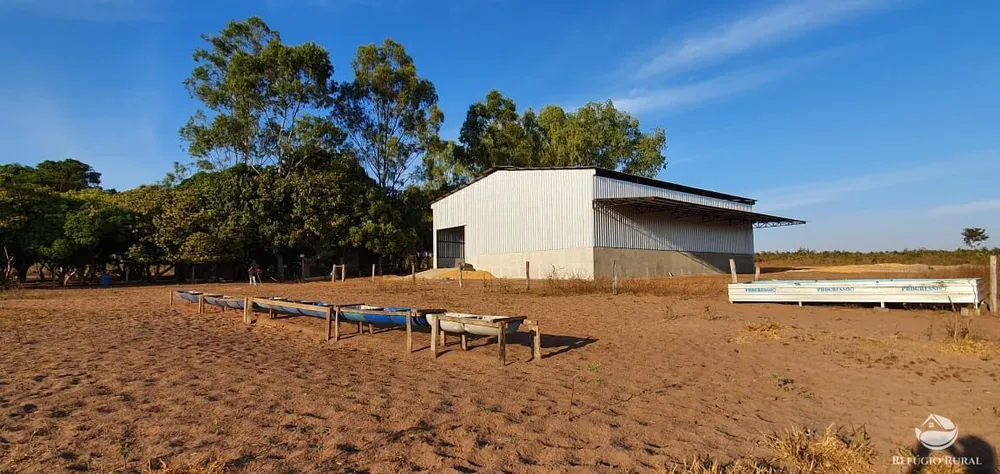 Fazenda, 3151 hectares - Foto 1