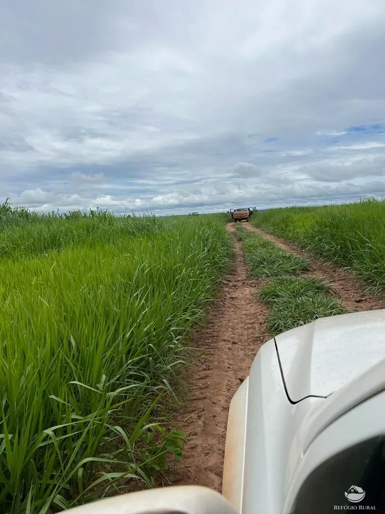 Fazenda, 3151 hectares - Foto 8