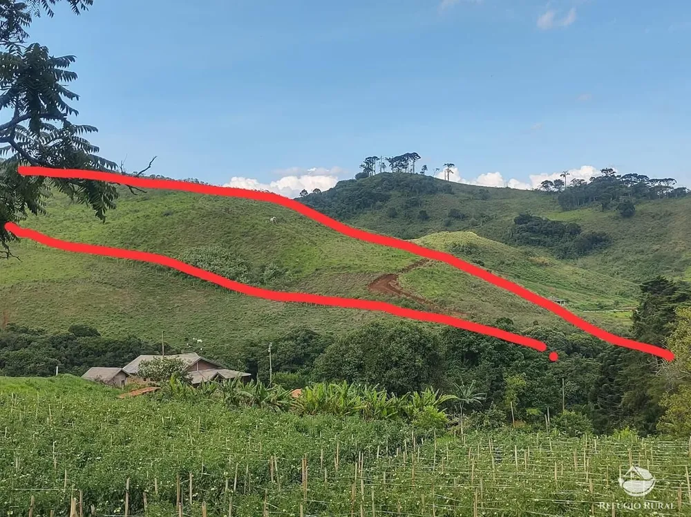 Terreno, 9 hectares - Foto 7