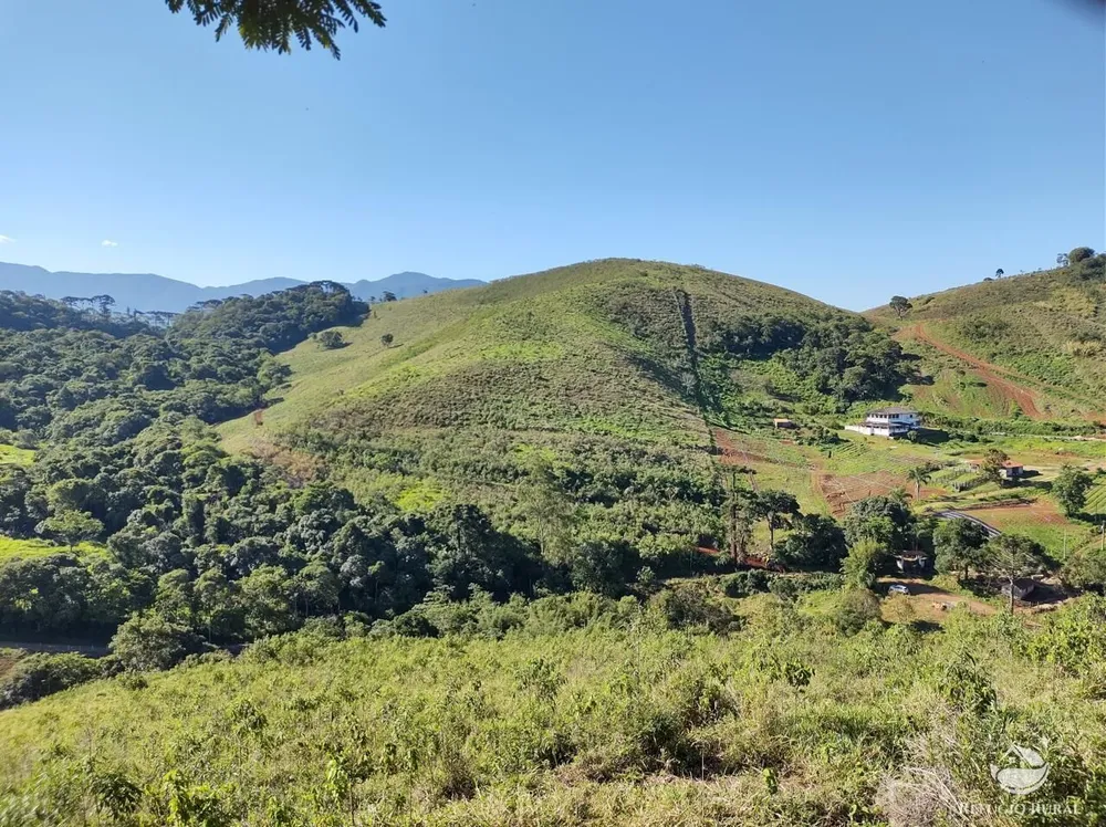 Terreno, 9 hectares - Foto 6