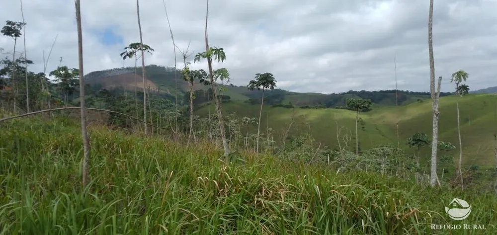 Terreno, 2 hectares - Foto 6