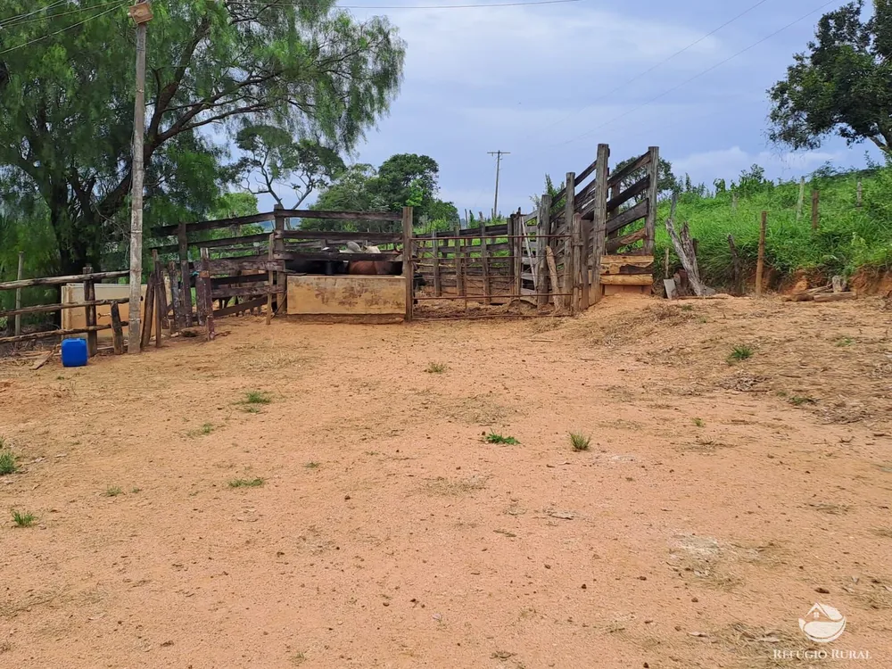 Fazenda, 79 hectares - Foto 10