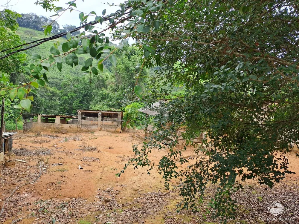 Fazenda, 79 hectares - Foto 8