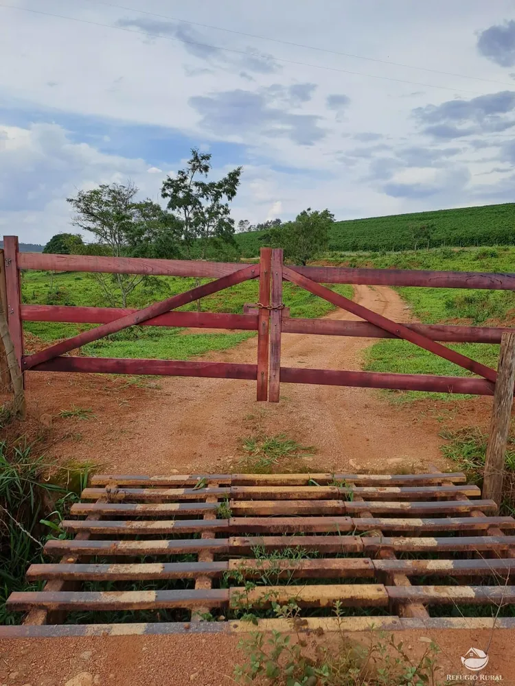 Fazenda, 79 hectares - Foto 6