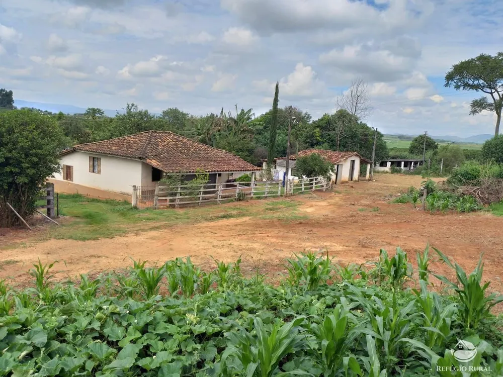Fazenda, 79 hectares - Foto 2