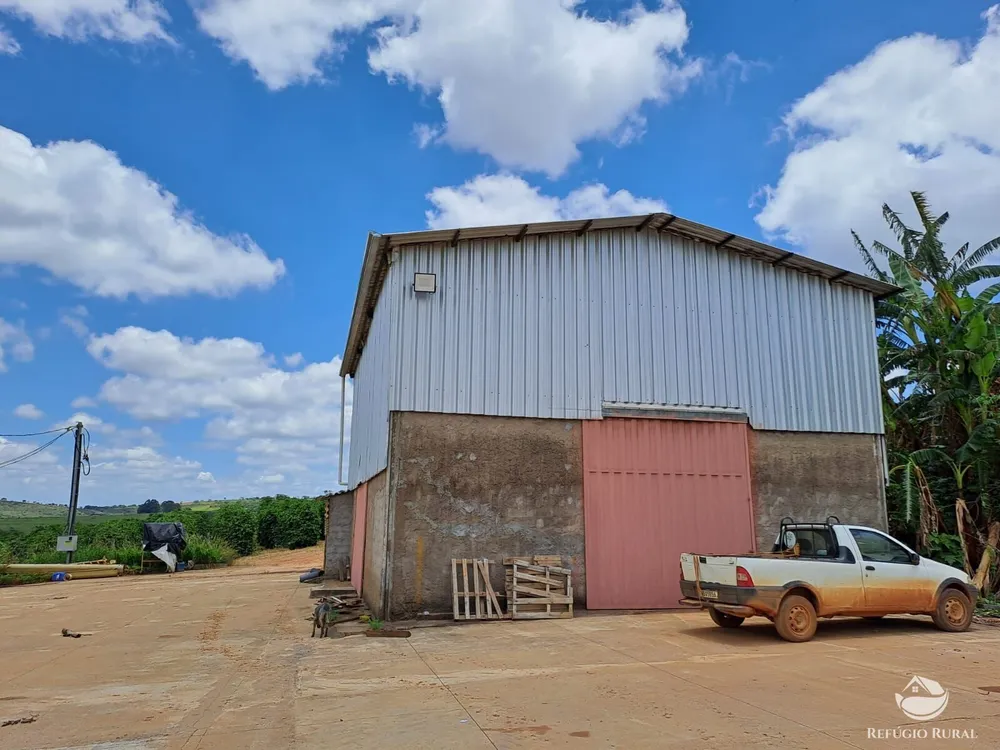 Fazenda, 79 hectares - Foto 7